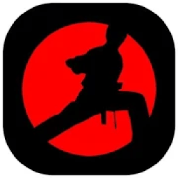 KARATÉ SHOTOKAN ENTRAINEMENT icon