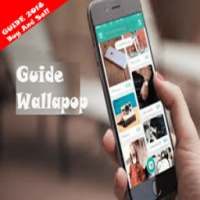 Wallapop Guide Costumer