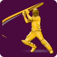 Best Cricketers Scratch game