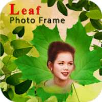 Leaf Photo Frames on 9Apps