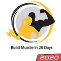 Build Muscle in 28 Days - FitApp Pro