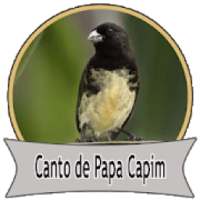Canto de Papa Capim Tui Tui Classico on 9Apps