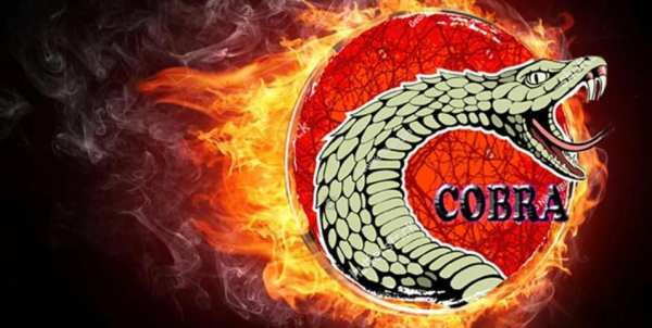 Cobra Browser Fastest & Ads Blocker screenshot 2