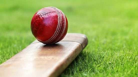 Cricket Info स्क्रीनशॉट 1