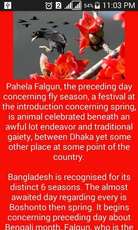 Falgun BD स्क्रीनशॉट 2