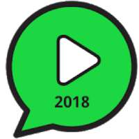 whatsapp video player on 9Apps