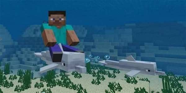 MOD Dolphin Riding Addon screenshot 1