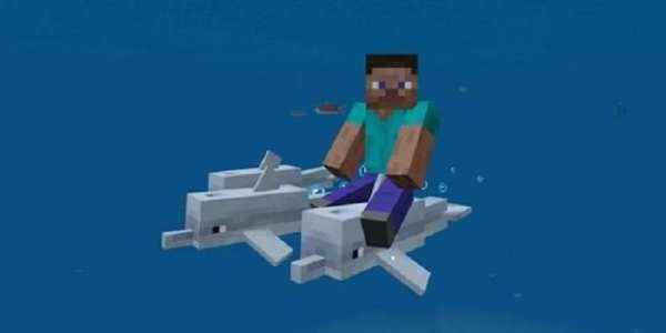MOD Dolphin Riding Addon screenshot 3
