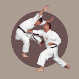 ikon Karimoto Defense Karate Guide