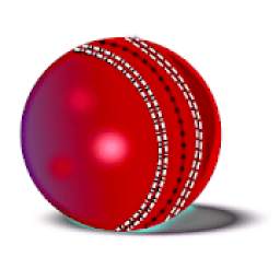 Hit Cricket - Mobile Premier League