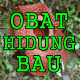 Ramuan Herbal Mengobati Hidung Bau Busuk Sinusitis