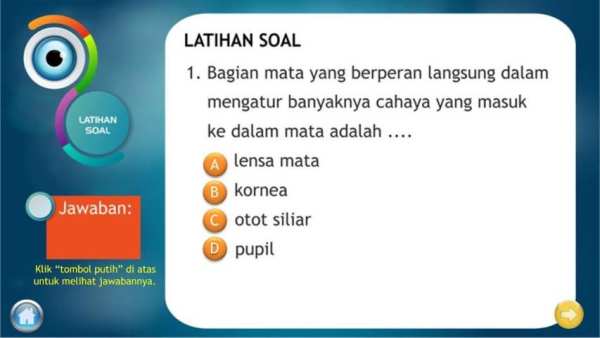 Alat Optik Mata Manusia screenshot 4