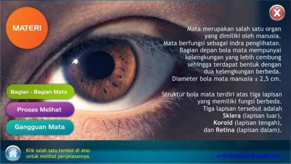 Alat Optik Mata Manusia screenshot 6