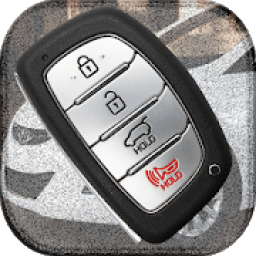 ikon Car Key Remote