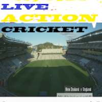 Live Action Cricket