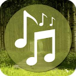 Nature music - sleep music , Relax sound