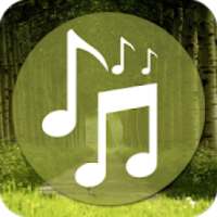 Nature music - sleep music , Relax sound on 9Apps