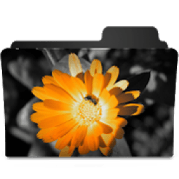 Colorify आइकन