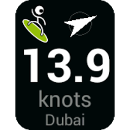 ikon Windcam live meter