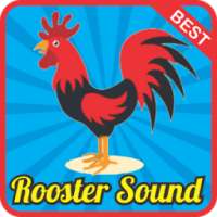 Rooster Sound Effect mp3