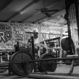 ikon Gym Motivation Backgrounds