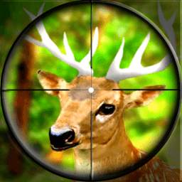 Deer Hunter Real Classic Hunting 2018