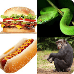 Guess Who Am I आइकन