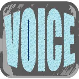 Voice 1.1