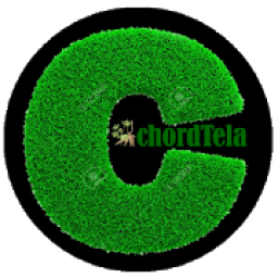 Chord Kunci Gitar @Chordtela icon