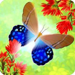 Flutter: Butterfly Sanctuary