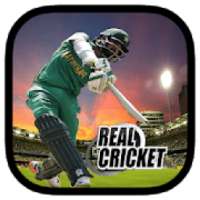 Real Game Cricket 2018