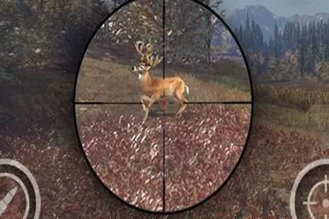 Animal Sniper Expert Hunting 3D screenshot 1