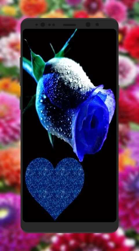 باقات ورود و زهور جميلة
‎ screenshot 4
