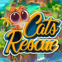 Cats Rescue Puzzle, Pets Game, Crush, Puzzle Games