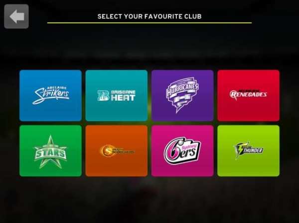 Big Bash Cricket screenshot 2