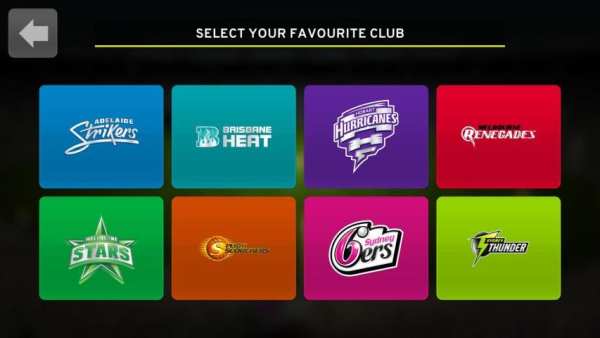 Big Bash Cricket screenshot 6