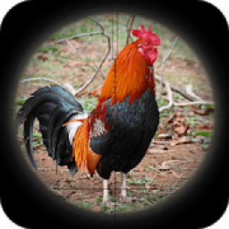 ikon Chicken Hunting Master : Sniper Shooting