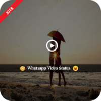 Whatsapp Video Status on 9Apps