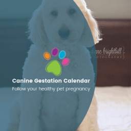 'iBreed' Canine Gestation Calendar