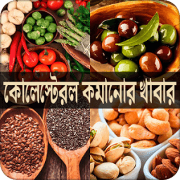 কোলেস্টেরল নিয়ন্ত্রণে রাখার খাবার icon