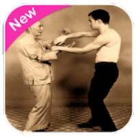 Wing Chun Kung Fu on 9Apps