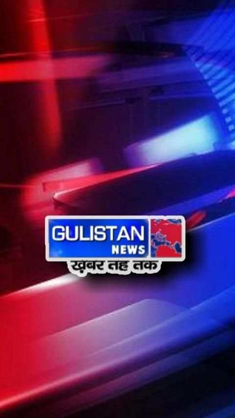 Gulistan News स्क्रीनशॉट 1