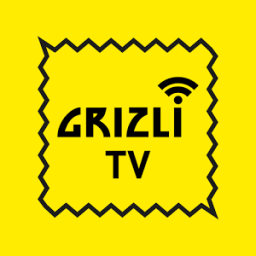Grizli TV - ТВ онлайн смартфон icon