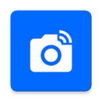 Bird Identify : Artificial Intelligence