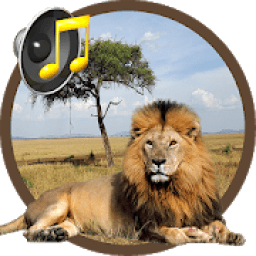 ikon Learning Animal Sounds And Habitats