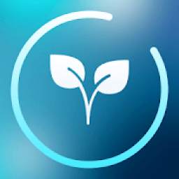 Air Component 1.0.0