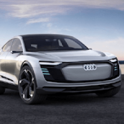 ikon Real Audi Driving Simulator 2019