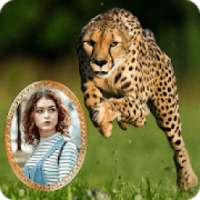 Wild Life Frames on 9Apps