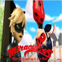 New Ladybug and Cat Noir