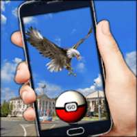 Pocket Birds GO